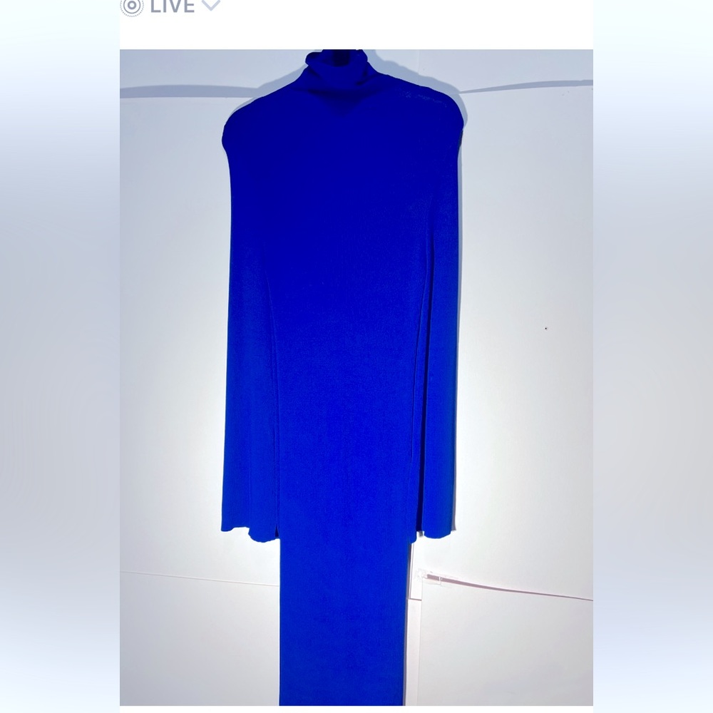 Zara knit turtleneck dress